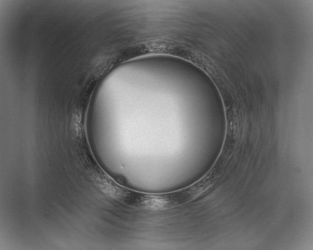 X0000073510610200608140936