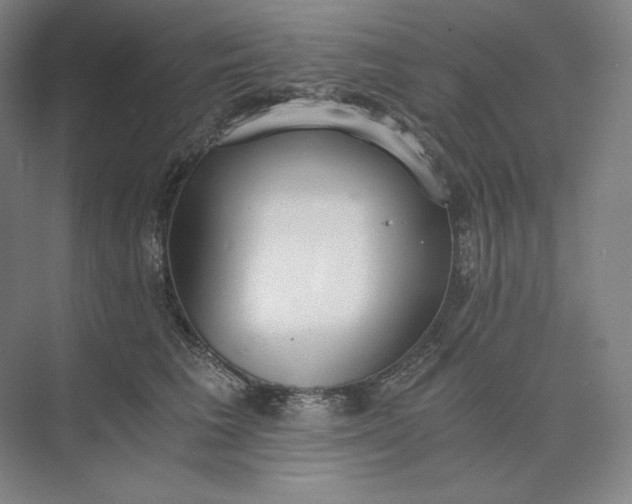 X0000073510613200608140936
