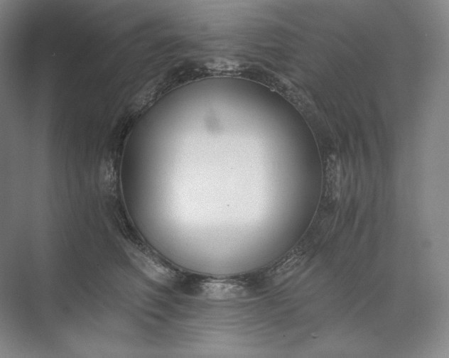 X0000073510614200608140936