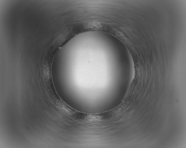 X0000073510617200608140936