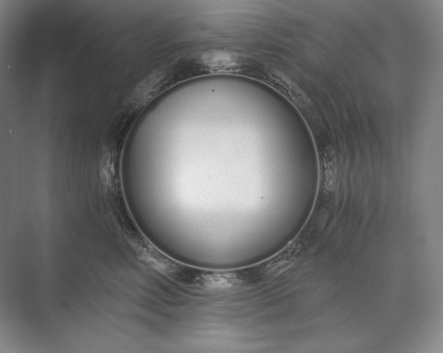 X0000073510618200608140936
