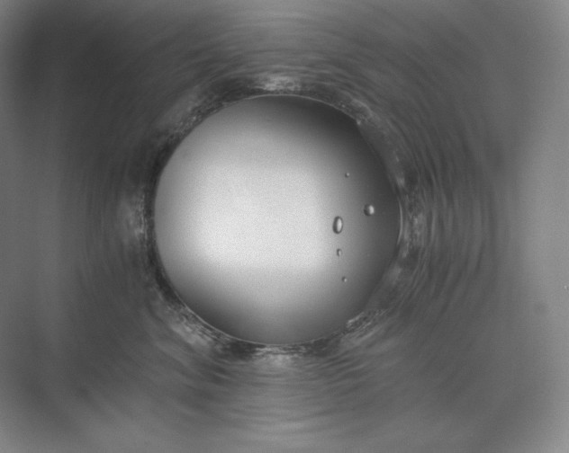 X0000073510620200608140936