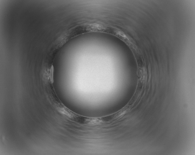 X0000073510621200608140936