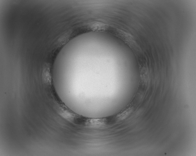 X0000073510622200608140936
