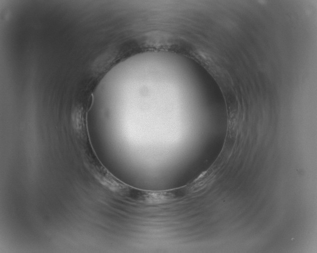 X0000073510623200608140936