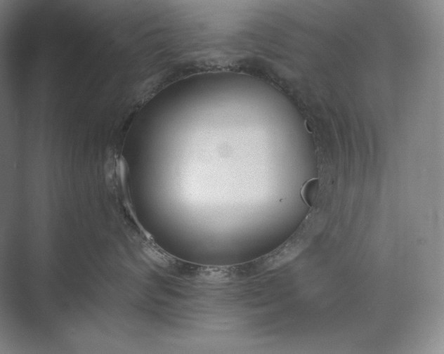 X0000073510624200608140936