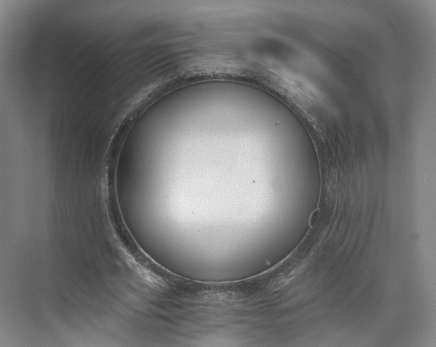 X0000073510629200608140935