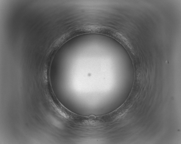 X0000073510633200608140935