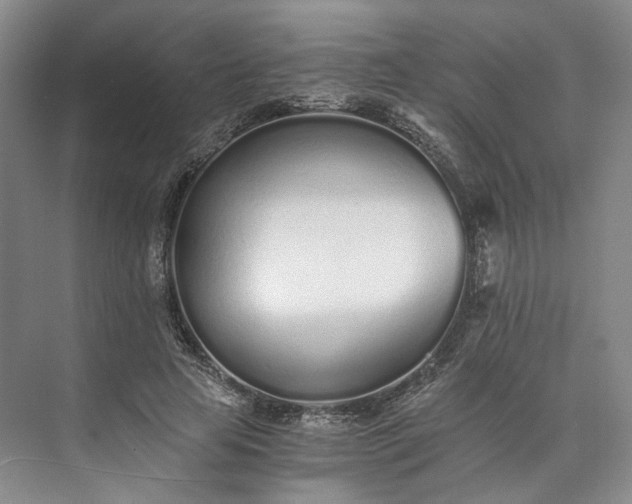 X0000073510641200608140935