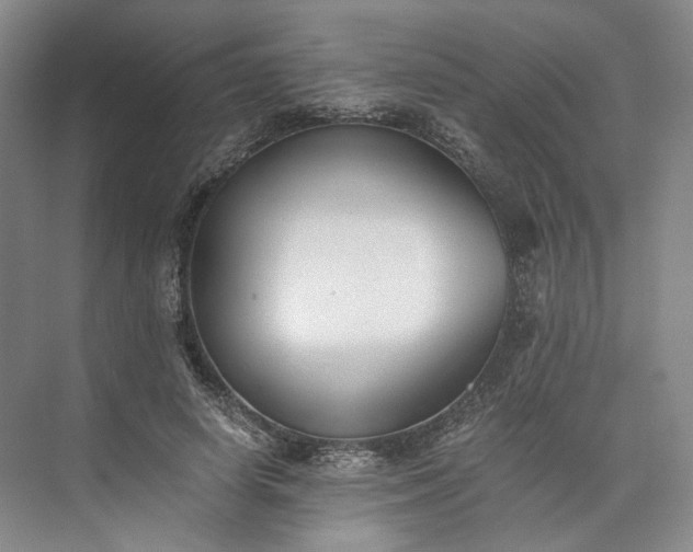 X0000073510642200608140935
