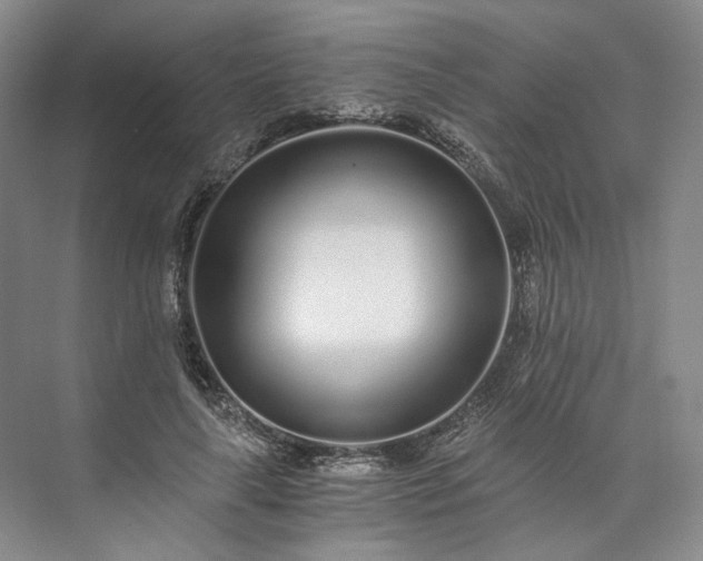X0000073510643200608140935