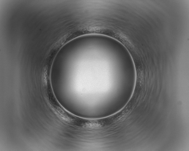 X0000073510644200608140935