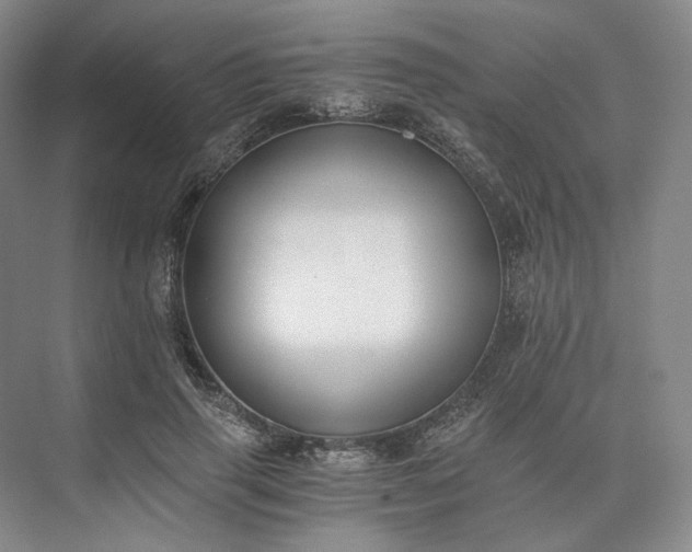 X0000073510645200608140935