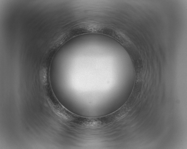 X0000073510646200608140935