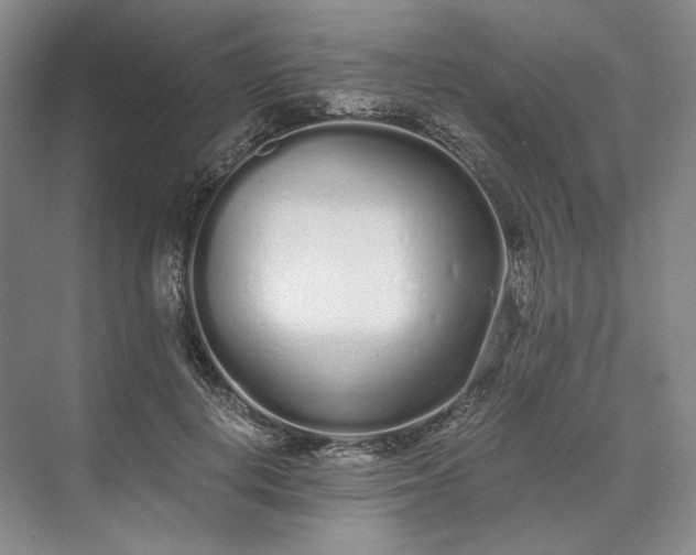 X0000073510648200608140935