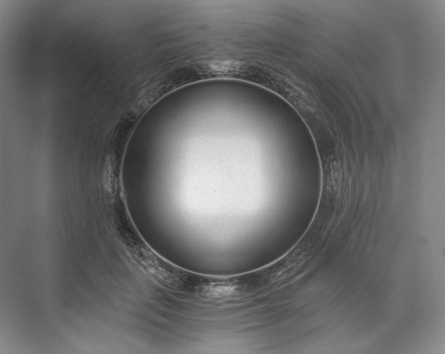 X0000073510651200608140935