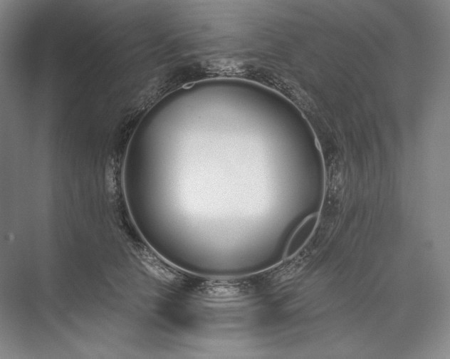 X0000073510658200608140935