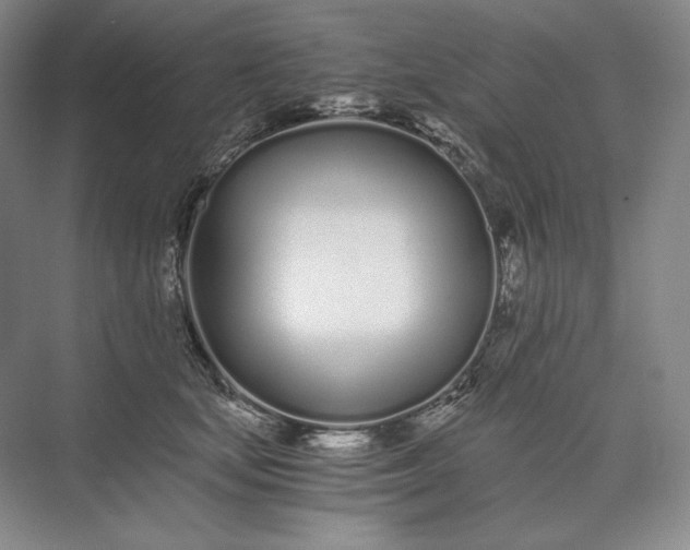 X0000073510659200608140935