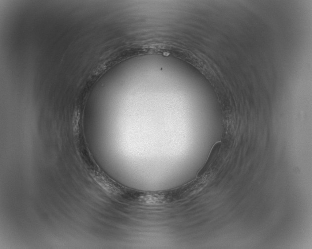 X0000073510660200608140935
