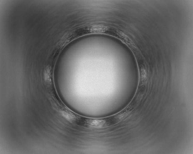 X0000073510663200608140935