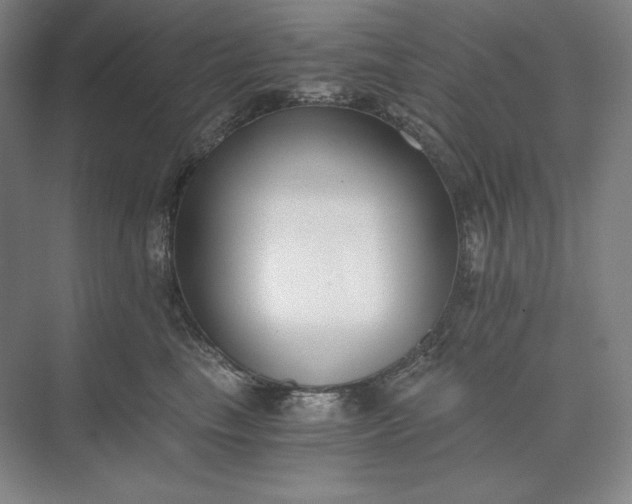 X0000073510665200608140935