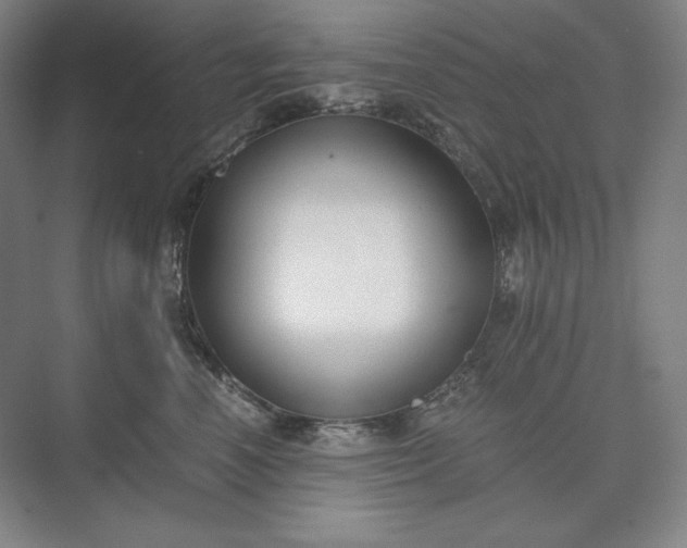 X0000073510666200608140935