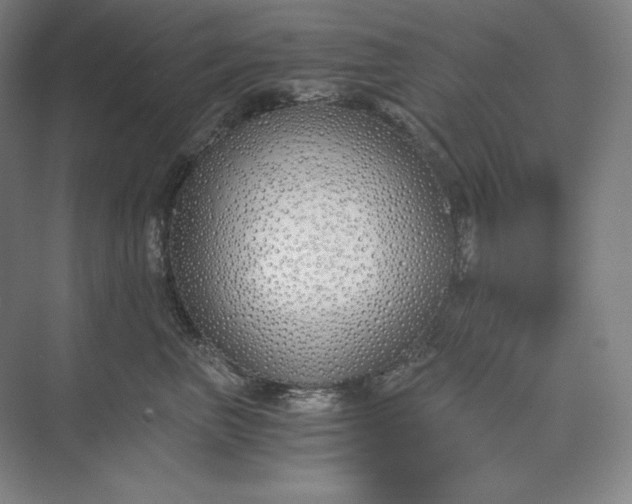X0000073510667200608140936