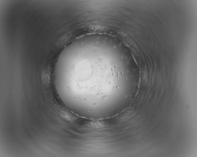 X0000073510668200608140936