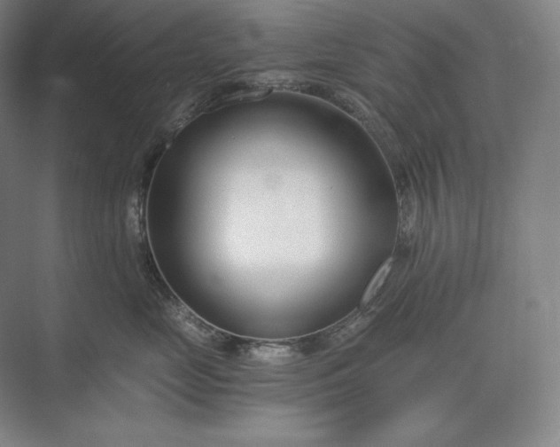 X0000073510669200608140936