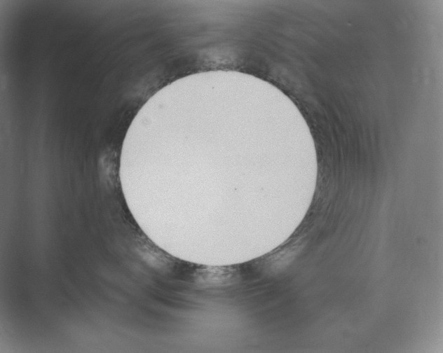 X0000073510672200608140936