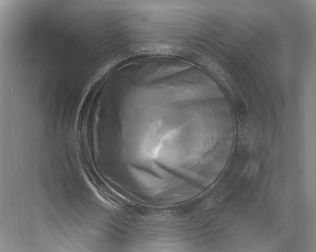X0000073510674200608140935