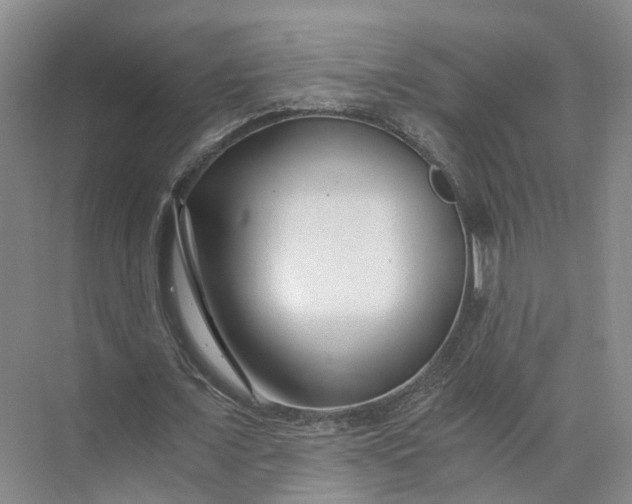 X0000073510675200608140935