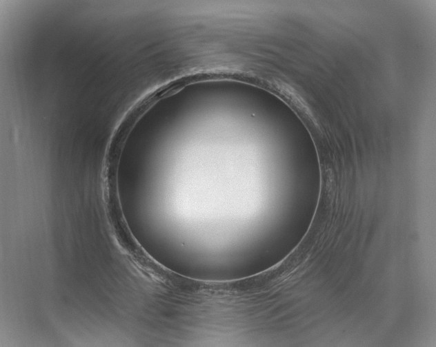 X0000073510676200608140935