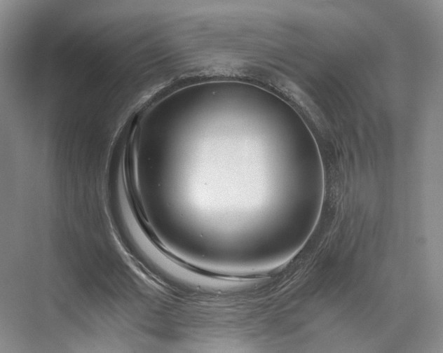 X0000073510677200608140935