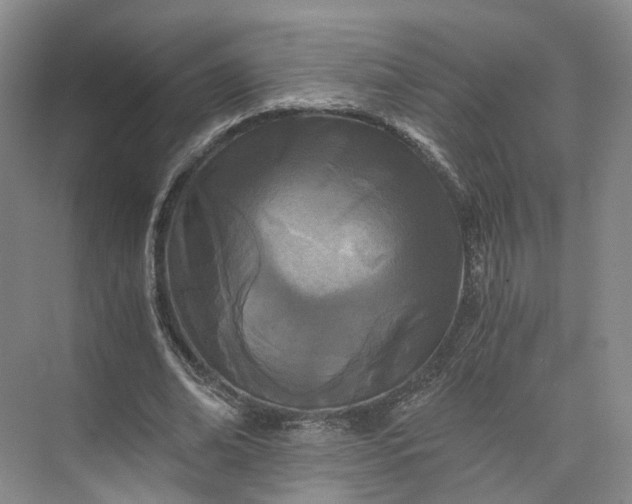 X0000073510678200608140935