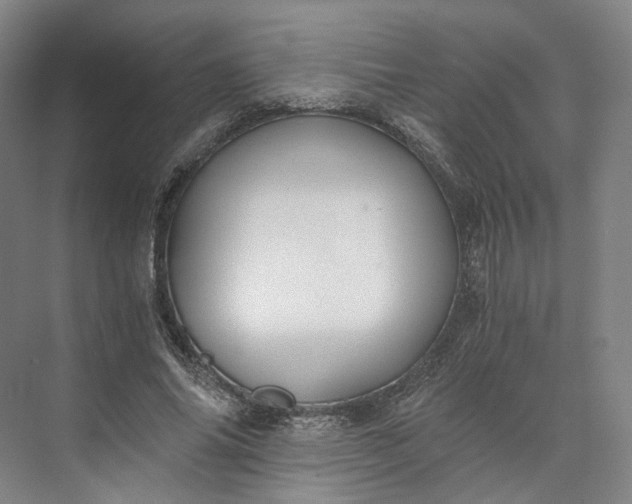 X0000073510686200608140935