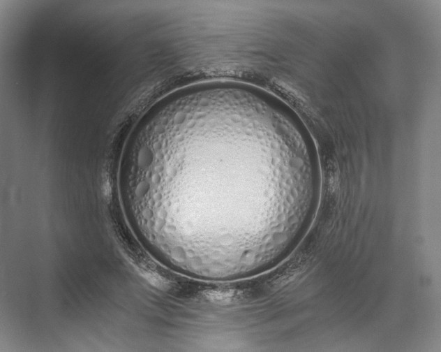 X0000073510687200608140935