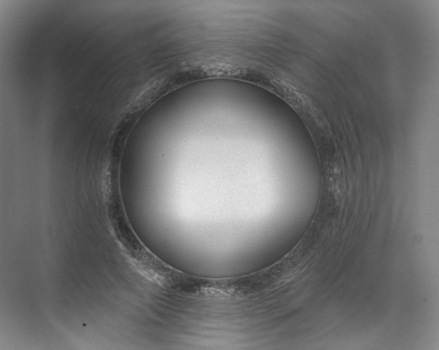 X0000073510690200608140934