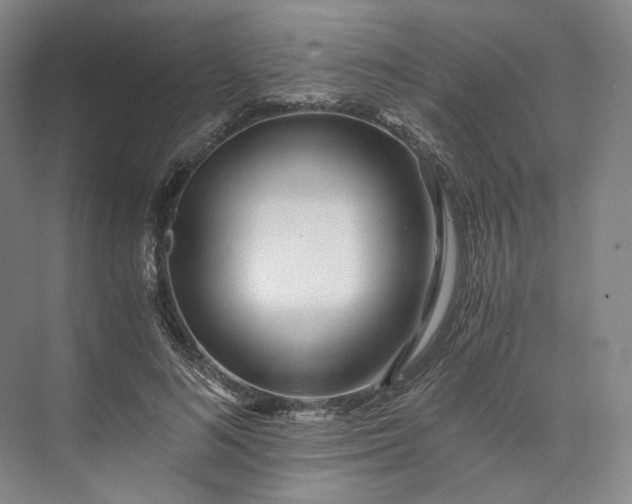 X0000073510692200608140934