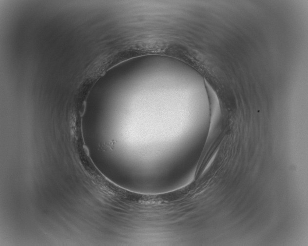 X0000073510693200608140934