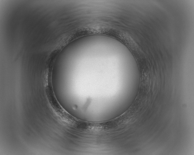 X0000073510694200608140934