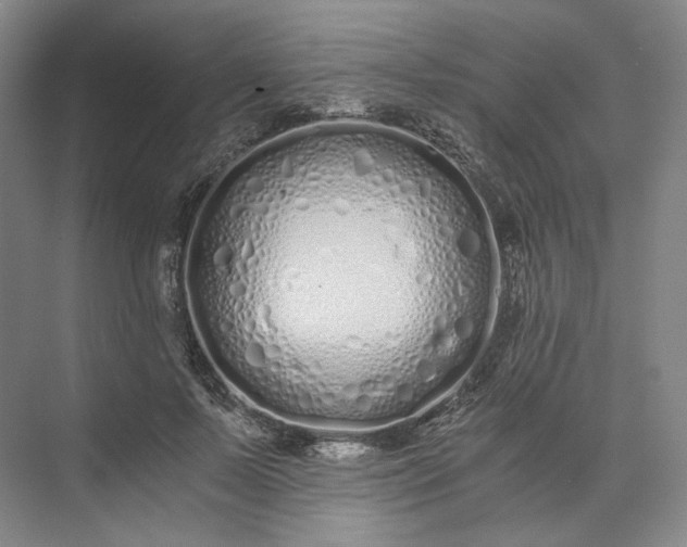 X0000073510695200608140934