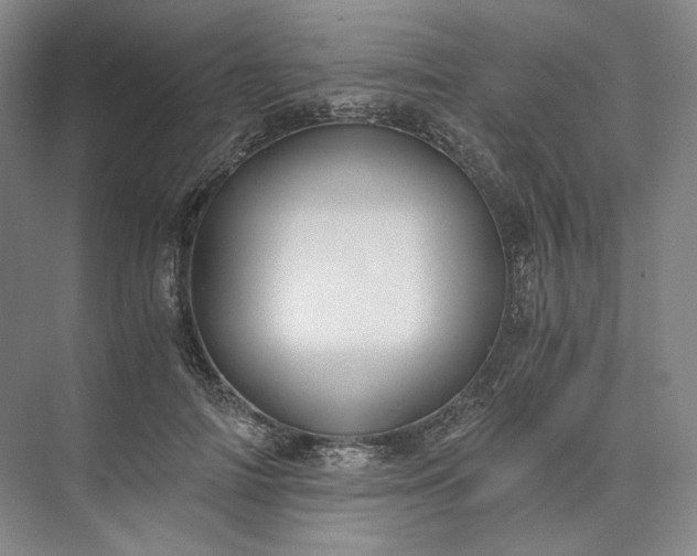X0000073510698200608140934