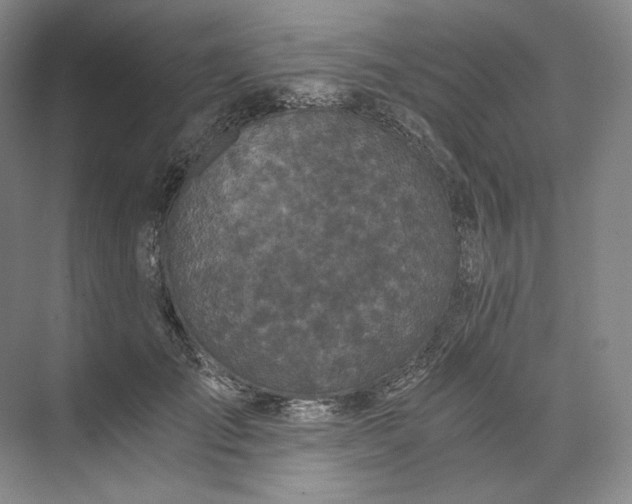 X0000073510701200608140934