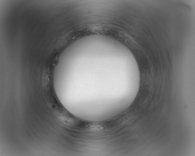 X0000073510702200608140934
