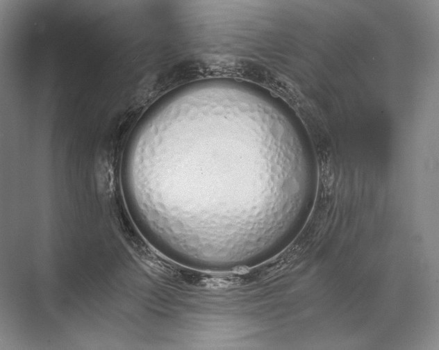 X0000073510703200608140934