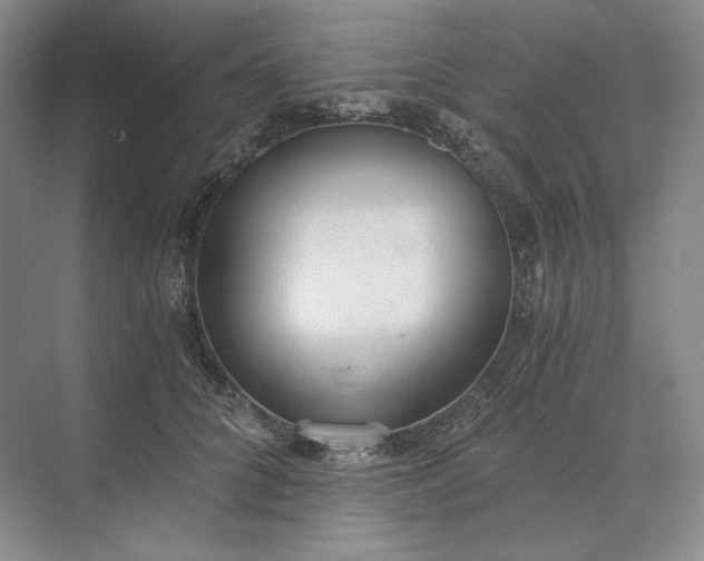X0000073510704200608140934