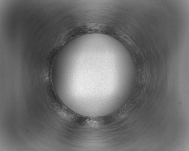 X0000073510706200608140934