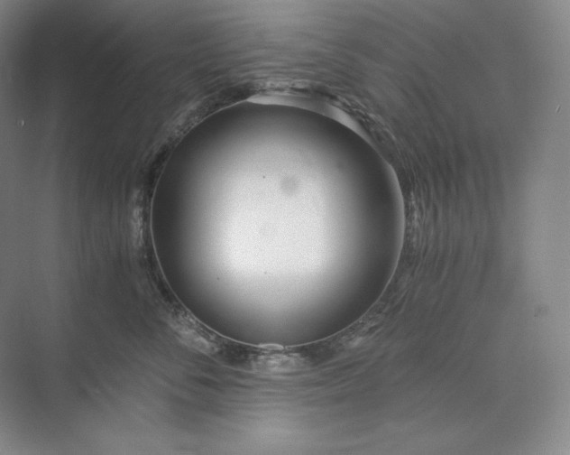 X0000073510716200608140934