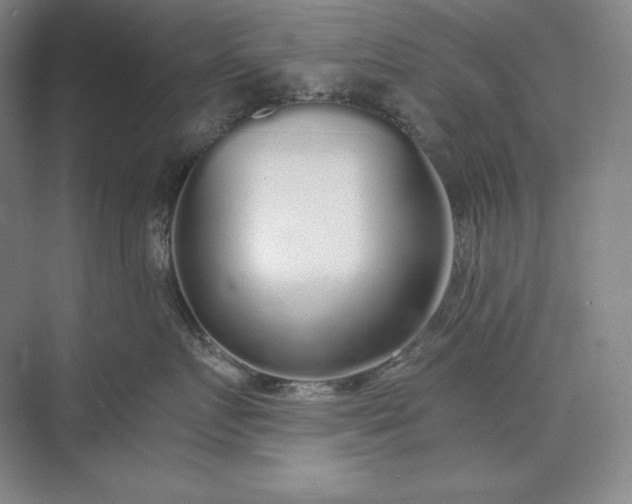 X0000073510719200608140934